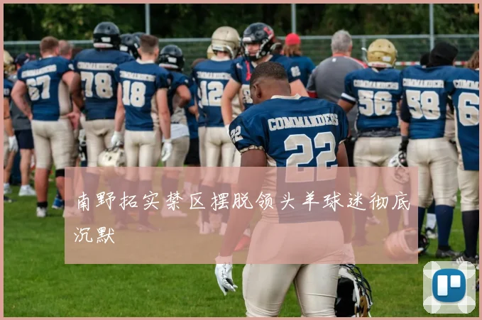 南野拓实禁区摆脱领头羊球迷彻底沉默