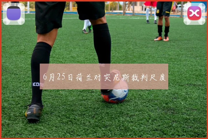 6月25日荷兰对突尼斯裁判尺度