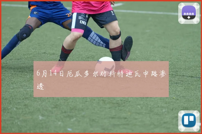 6月14日厄瓜多尔对科特迪瓦中路渗透
